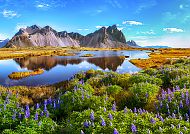 Naturparadies Island, Island: Atemberaubende Landschaft mit Bergen und blühenden Wiesen.