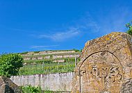Grünes Tor