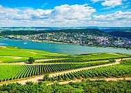 Rheinlandschaft