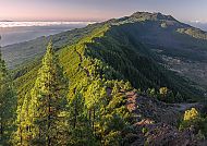 La Palma - la Hilera