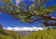 La Palma - Nationalpark de La Caldera de Taburiente