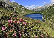 24935_Valle del Chiese - Val di Fumo - Malgasee Campo