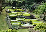 Eingang zum Furnas Terra Nostra-Garten
