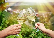 Weinprobe