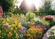 Blumenpracht