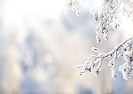 Winterzauber
