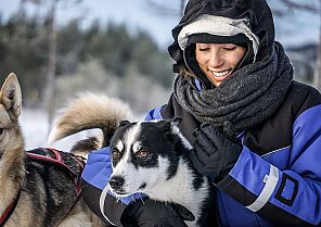 Lappland - Stippvisite zum Polarkreis