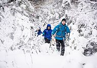 Schneeschuh-Wanderung