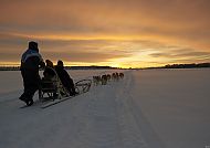 Huskysafari