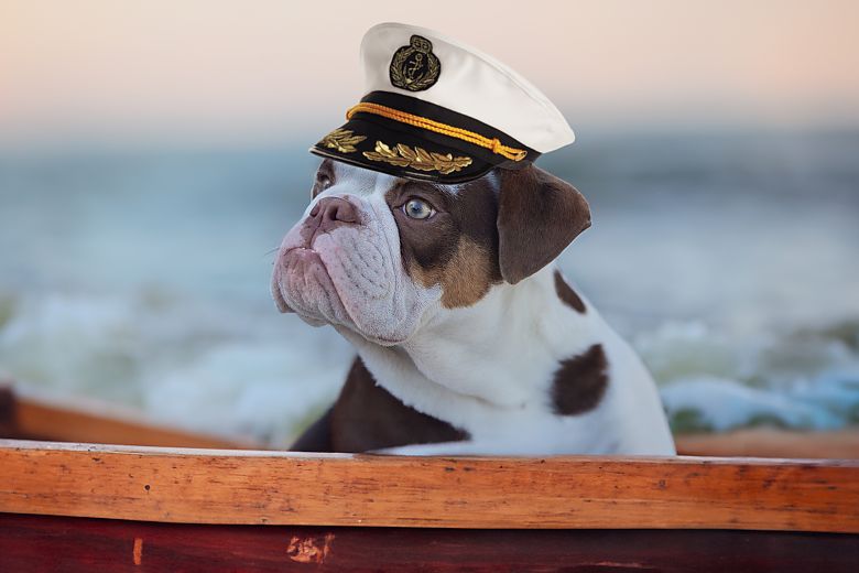 Premium-Flussreise für Sie & Ihren Hund 2026