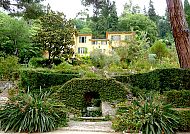 Garten an der Côte d´Azur