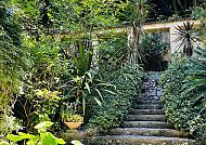 Menton jardin Serre de la Madone
