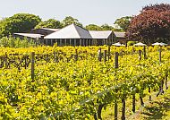 Jersey, La Mare Wine Estate