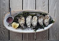 Jersey, Austernfarm
