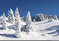 32067 Madonna di Campiglio - Snowy panorama