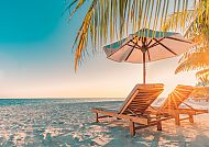 Sonnenliegen unter Palmen am karibischen Strand bei Sonnenuntergang.