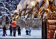 Verschneiter Tannenast mit Lichtern, rote Kugel, winterliche Szene.