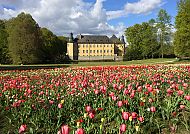 , Schloss Dyck mit farbenfroher Tulpenwiese im Vordergrund.
