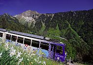 Zahnradbahn vor der malerischen Kulisse der Rochers-De-Naye.
