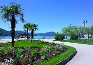 Frühling am Wörthersee, Blühende Frühlingslandschaft am Wörthersee mit Palmen und Blumen., Frühlingsblütenpracht am Wörthersee mit Palmen und blauem Himmel.