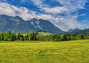 Chiemgauer Alpenfrühling