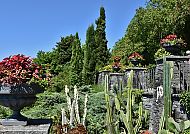 Mainau, Blühende Gartenlandschaft auf der Insel Mainau im Sommer.