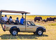 Safari Kariba See, Safari-Abenteuer am Kariba-See mit Elefanten in der Ferne., Safari-Abenteuer am Kariba-See mit Elefantenbeobachtung.