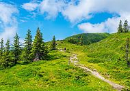 Salzburg_Saalbach_Wanderweg, Grüner Wanderweg in den Alpen bei Saalbach an einem sonnigen Tag., Grüner Wanderweg in den Alpen bei Saalbach, blauer Himmel.