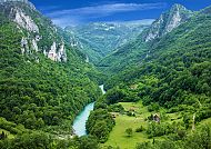 Tara-Schlucht in Montenegro, üppige grüne Landschaft und Fluss