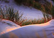 Düne im Winter, Winterliche Dünenlandschaft im Slowinski-Nationalpark.