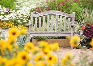 Holzbank umgeben von blühenden Blumen, Holzbank umgeben von blühenden Blumen bei der Badminton Flower Show.