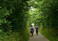Texel, Radfahrer auf grünem Waldweg in Nordholland., Radfahrer auf grünem Weg in Nordholland., Radfahrer auf grünem Waldweg in Nordholland.