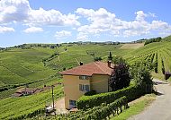 Hügelige Weinlandschaft im Piemont unter blauem Himmel.