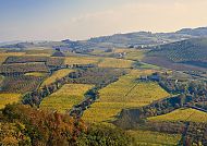 Malerische Hügellandschaft im Piemont bei sanftem Licht