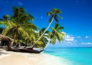 Paradiesischer Karibikstrand mit Palmen und türkisblauem Meer