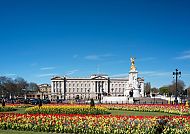 London, Buckingham Palace, Buckingham Palace mit blühenden Gärten unter klarem Himmel., Buckingham Palace mit blühenden Gärten unter strahlend blauem Himmel.