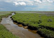 Niedersächsisches Wattenmeer, Weite Landschaft im Niedersächsischen Wattenmeer unter Wolkenhimmel.