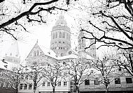 Mainzer Dom im Winter, umrahmt von schneebedeckten Bäumen.
