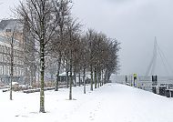 Verschneite Winterlandschaft in Rotterdam mit Blick auf die Erasmusbrücke.