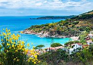 Küste von Elba mit türkisblauem Meer, Küste von Elba mit türkisblauem Meer und blühender Natur.