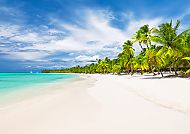 Karibiktraum: Weißer Sand, türkisblaues Meer, Palmenparadies