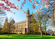 Wormser Dom im Frühling, umrahmt von blühenden Kirschbäumen