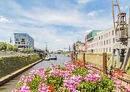Blühende Blumen am Hafenbecken C in Neuss bei strahlendem Sonnenschein.