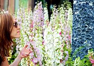 Frau genießt den Blumenduft, Frau genießt den Duft blühender Blumen in einem Garten., Frau genießt den Duft bunter Blumen bei der LAGA 2026 in Neuss.