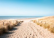 , Sandweg durch Dünen zum Meer unter blauem Himmel., Sandweg durch Dünen zum Meer unter blauem Himmel in Noordwijk.