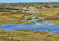 , Weite Dünenlandschaft auf Texel mit malerischen Wasserwegen., Weite Dünenlandschaft auf Texel mit malerischem Wasserlauf.