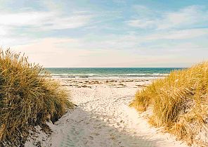 Inselruhe und Meeresluft: Rügen entspannt genießen