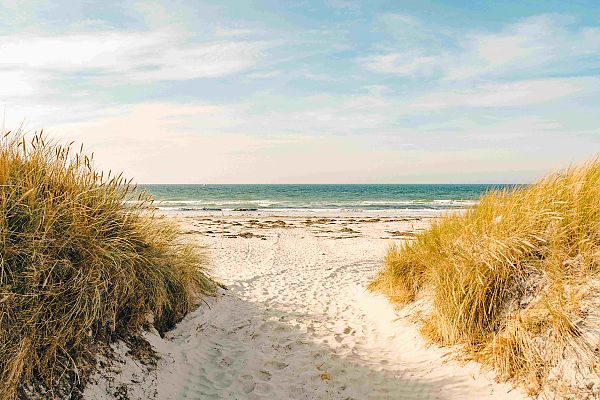 Dünen mit Ostseeblick, Dünenlandschaft mit Blick auf die Ostsee bei Rügen., Sonnige Dünenlandschaft mit Blick auf die Ostsee bei Rügen.