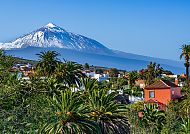 Teneriffa, Schneebedeckter Teide über grüner Landschaft auf Teneriffa., Schneebedeckter Teide mit Palmen und Häusern auf Teneriffa.