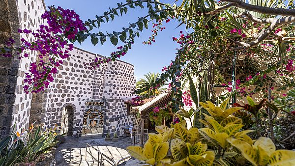 , Mühlenmuseum auf Teneriffa, umgeben von blühenden Pflanzen.